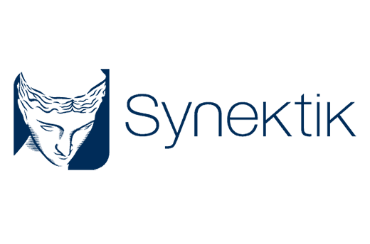 Synektik